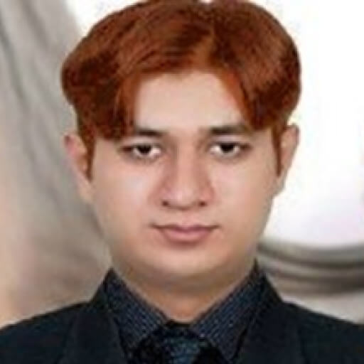 Prof. Dr. Ch. Mahmood Anwar